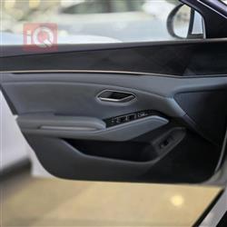 بي واي دي كوين L DM-i